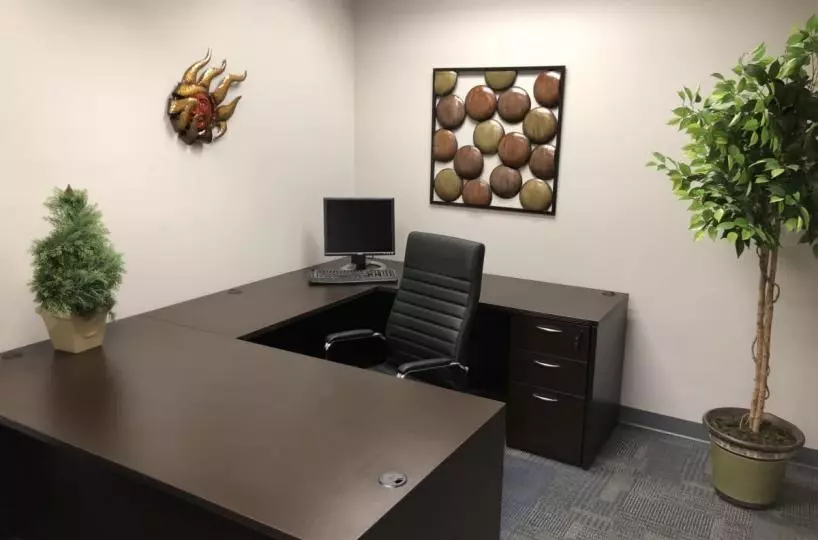 professional office suites